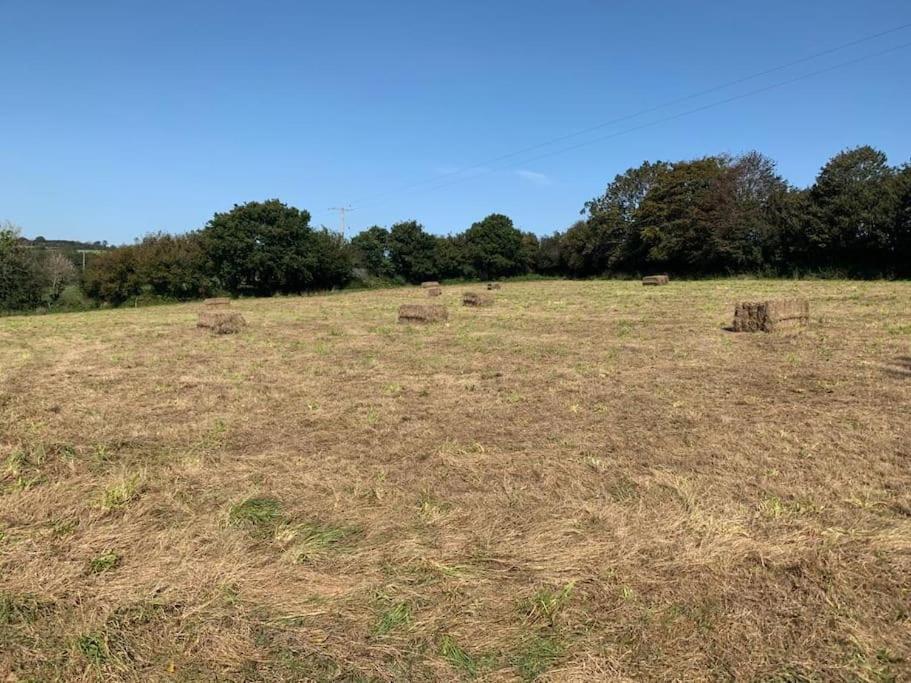 Detached Barn In Tamar Valley, Ev Charging Included Holiday home *